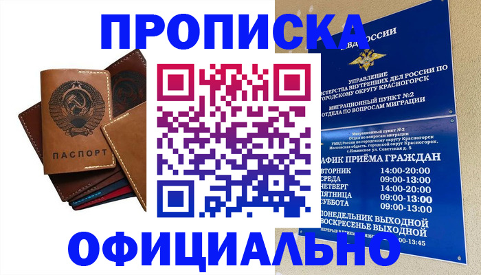 временная прописка в Жердевке